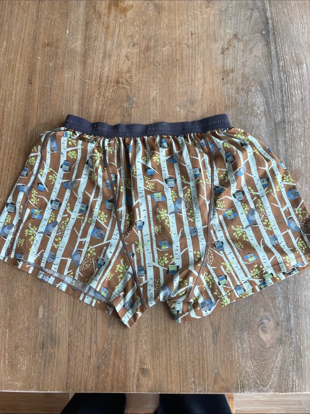 Patagonia owl theme boxers sleep shorts